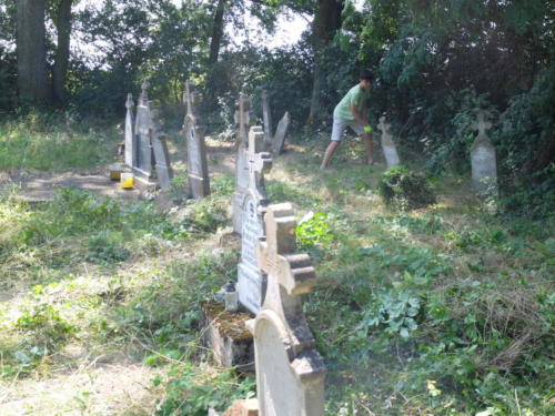 Záchrana drobných památek - příklad vysvobezení náletovými dřevinami zarůstající staré části hřbitova v Češku Selu a průběžná údržba